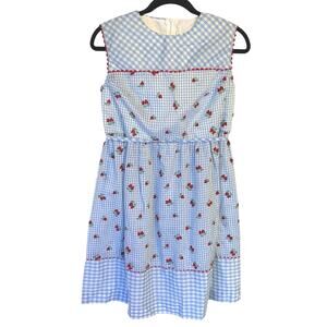 50s Baby Blue Gingham Dress Coquette Strawberry Cottagecore Picnic Retro Femme